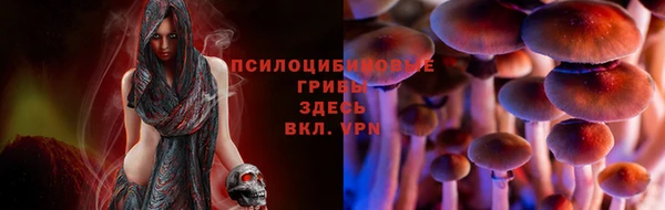 МДПВ Аркадак